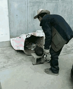 这样一开，估计后面铁门都会经不住啊。