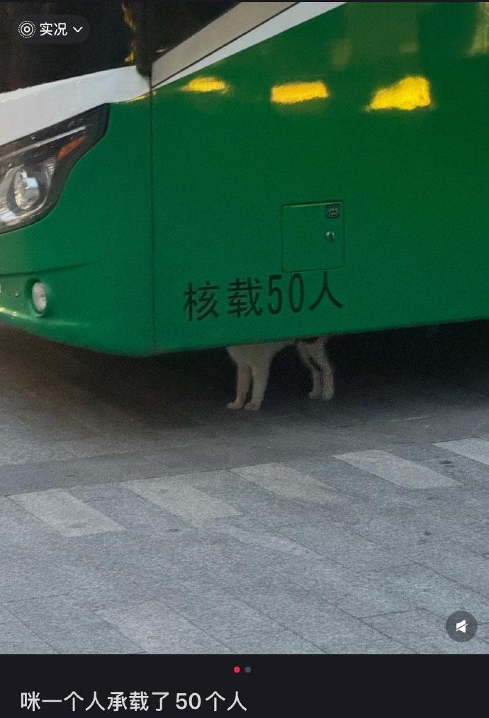 在车底的不一定是阿杜，还有可能是阿咪 