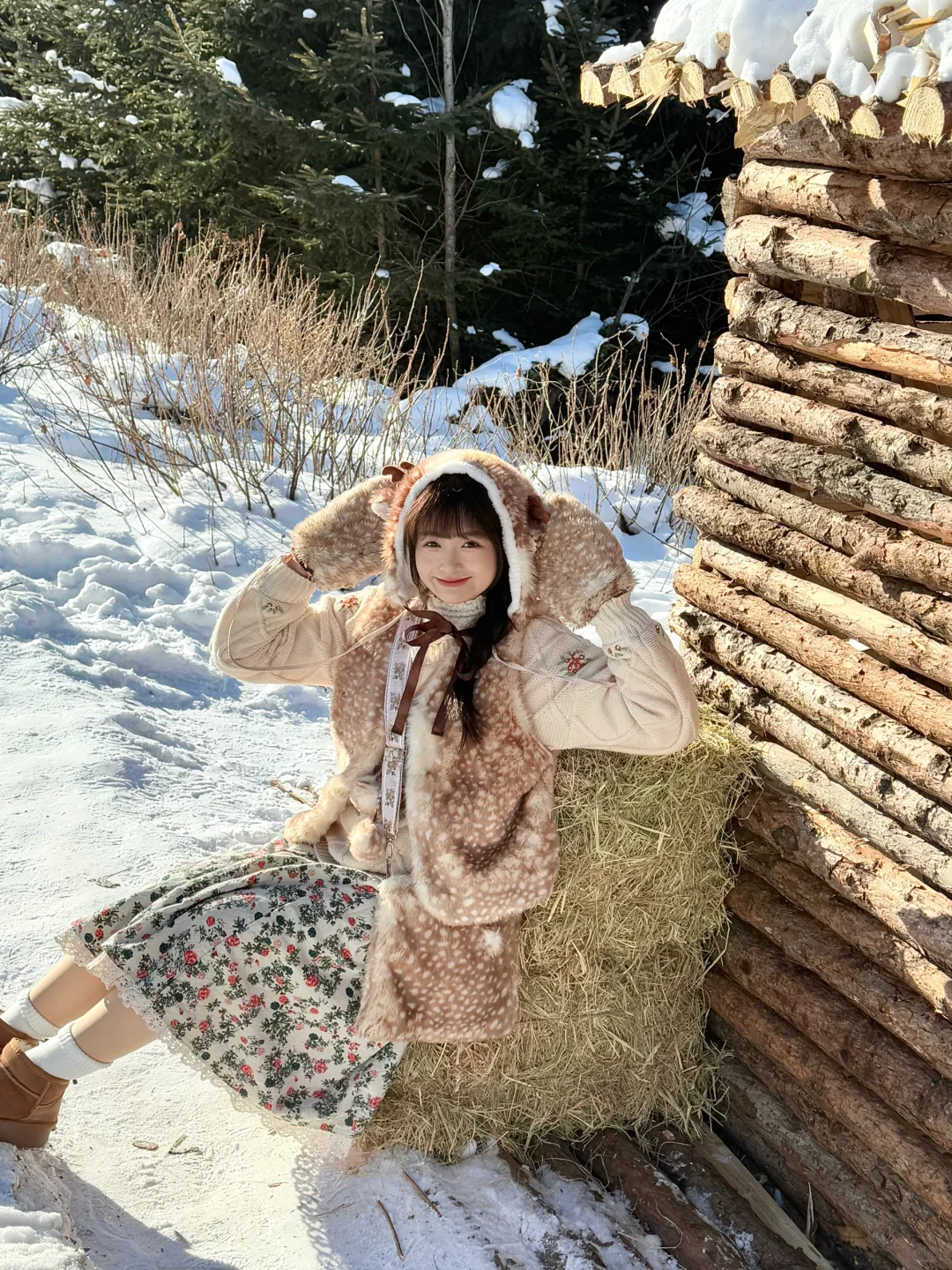 雪地里的精灵小鹿