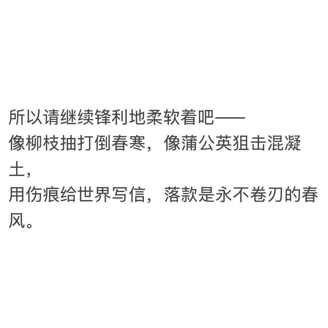 你是永不卷刃的春风 