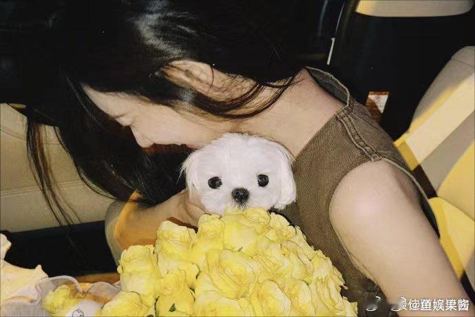 #李一桐七夕收到了黄玫瑰#姐姐真的是太幸福了，在七夕的时候收到一个充满着寓意的黄
