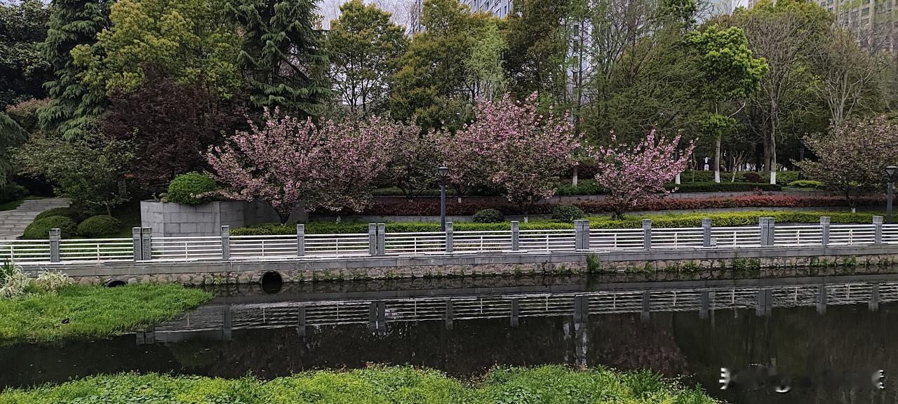 99岁姑妈，依然一个人独自生活
今天，趁着天晴，回老家看望姑妈。
我有两个孃孃，