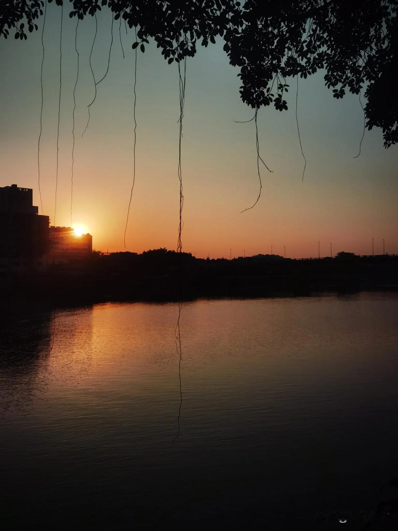 落日余晖，赶紧拿出手机记录这一刻的美好，感受大自然的馈赠！分享给大家[福][送心