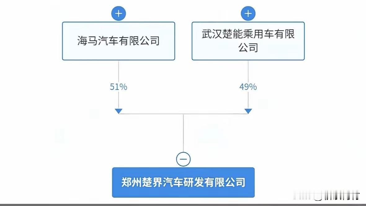 楚界汽车来了！界字辈汽车车企又多一个！

注册资本100万元，由楚能汽车与海马汽