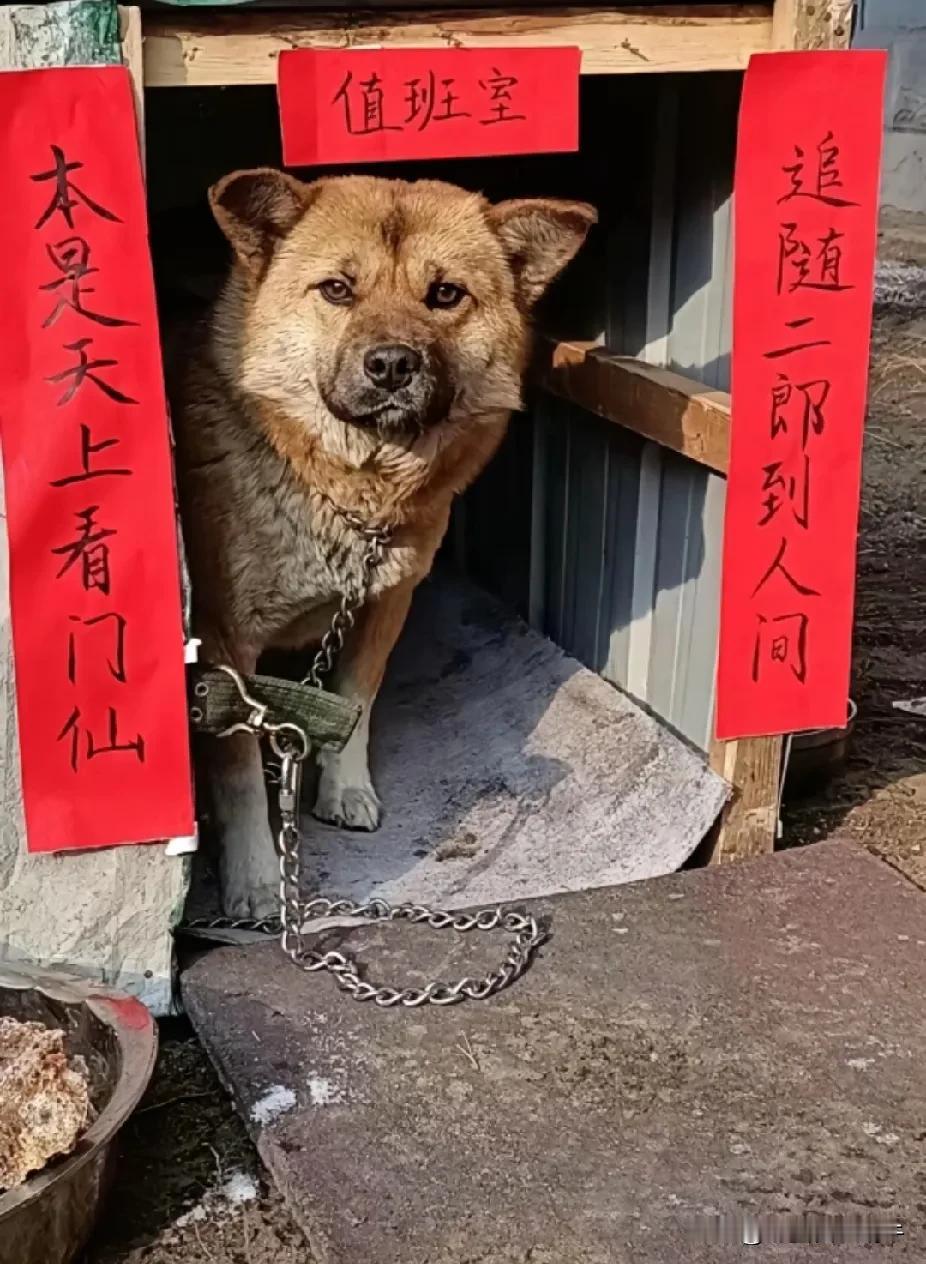 这两天过年值班的朋友们，有没有这种感觉呀，请大家看图片，开心开心[大笑][大笑]