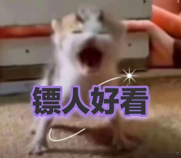 镖人 真的好看 电影的节奏把握得太好了！文戏武戏交替进行，张弛有度，全程无冷场，