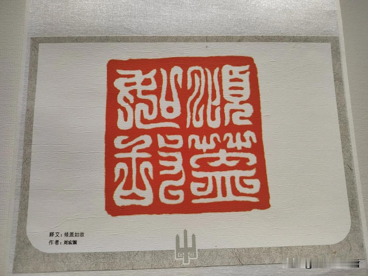 嗯，她的被子我盖了！趁她不在，我给猫洗了澡。尽管它一个劲儿挣扎，我仍摁住它洗了个