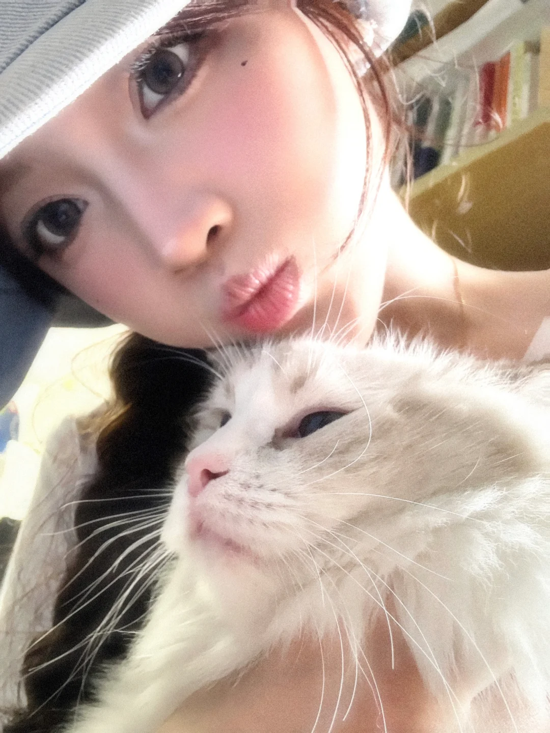 一些小猫合照