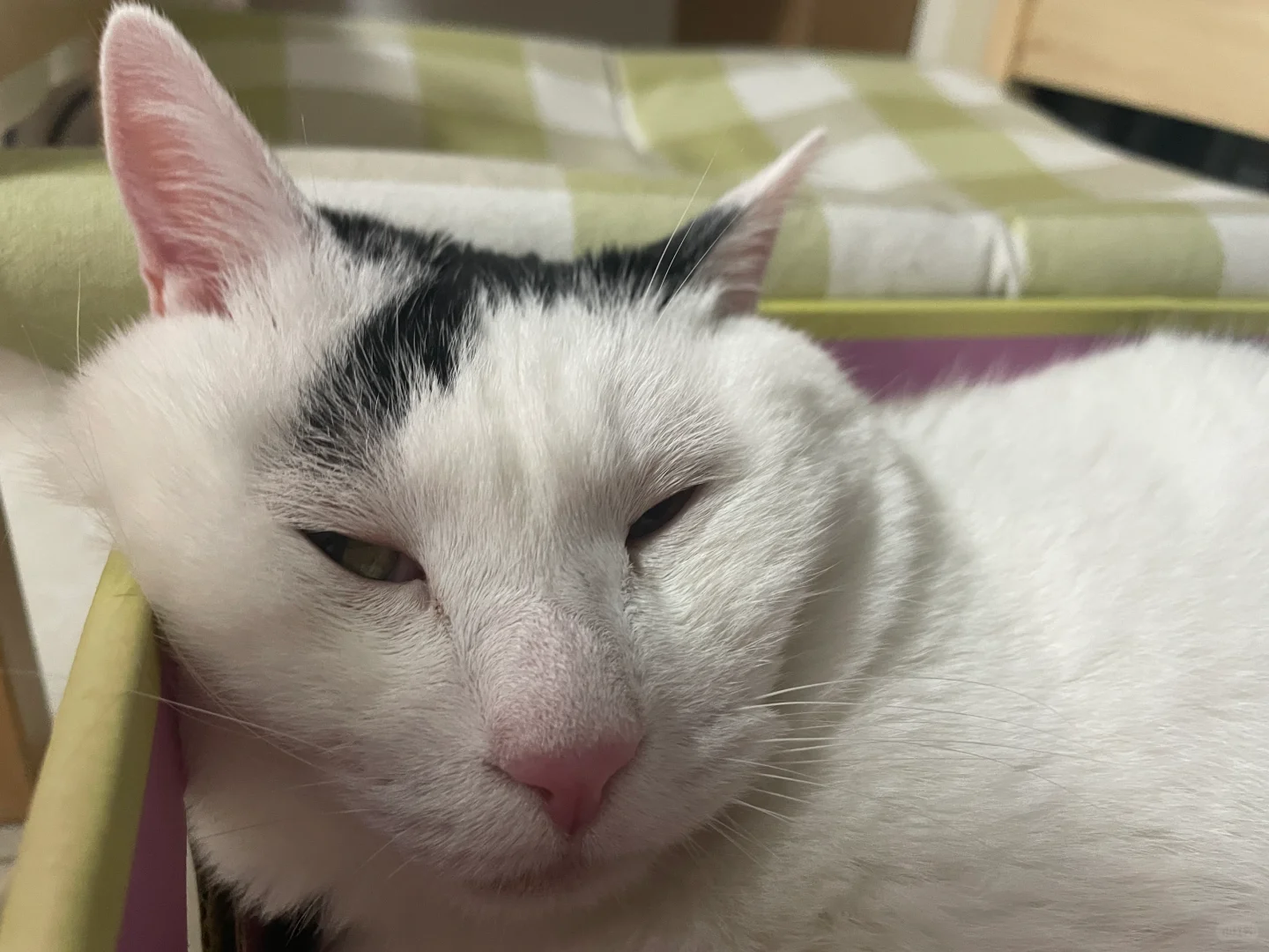 美丽的小姐，一个人睡觉吗