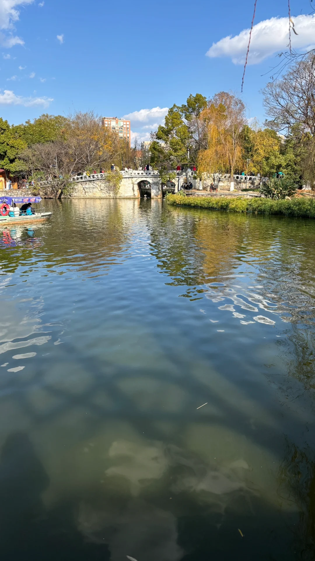 等成绩睡不着的小宝们进来说说话吧