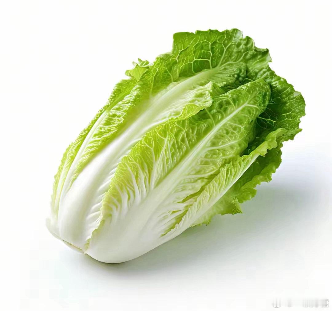 甲醛白菜流向哪里我的天啊，24年就拍到了，为什么都没有人去监管呢？就看着这种有毒