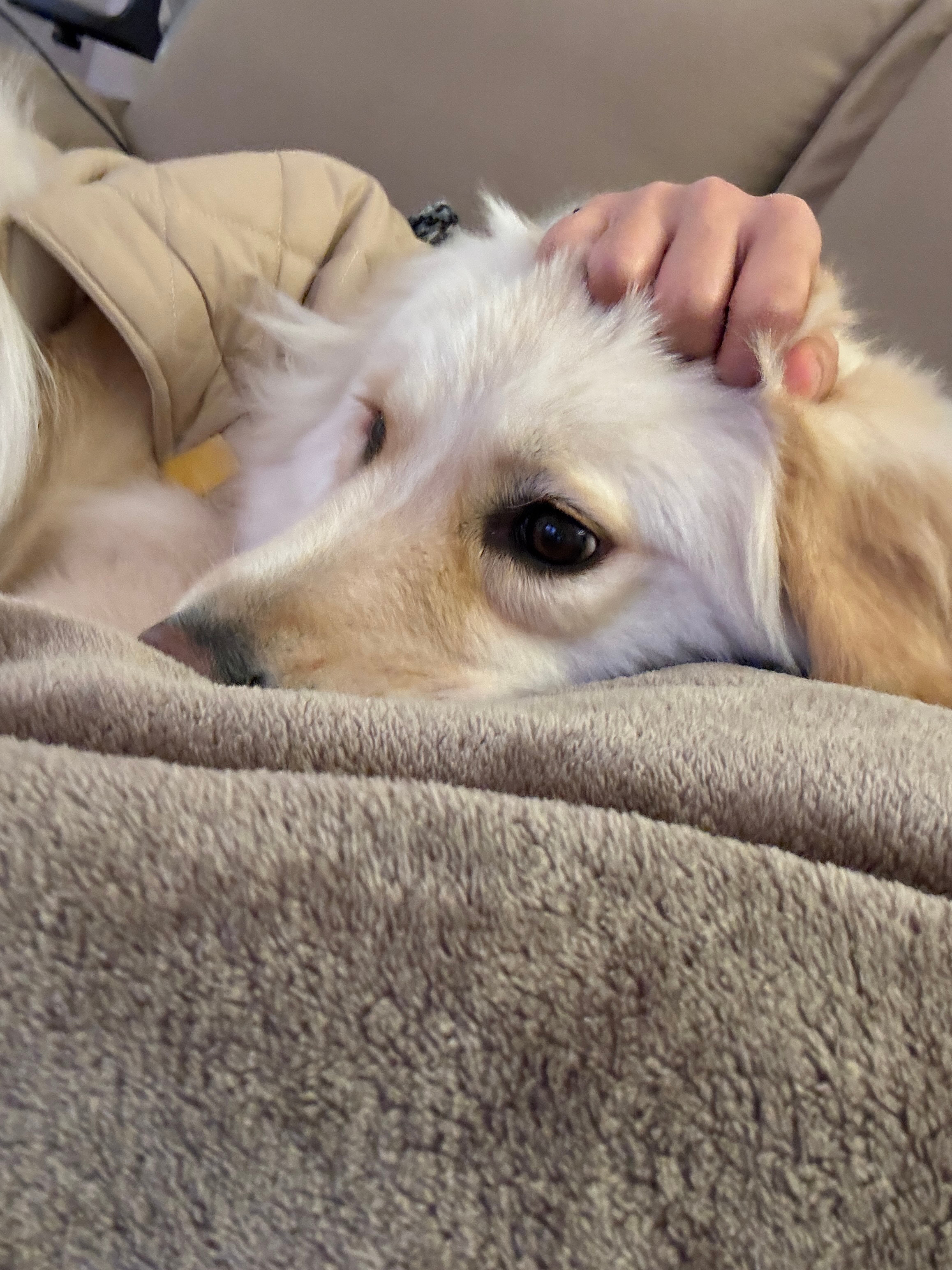 从云南✈️过来见我的小软 