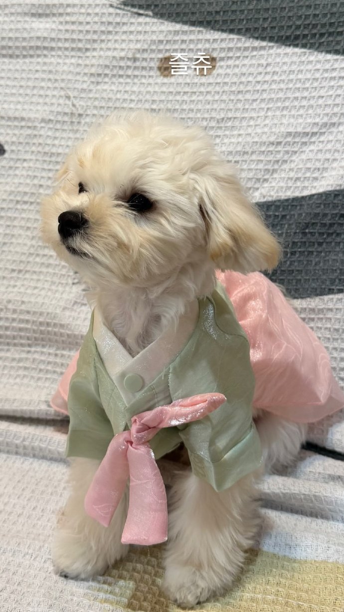 打扮的漂漂亮亮的波妞 ​​​