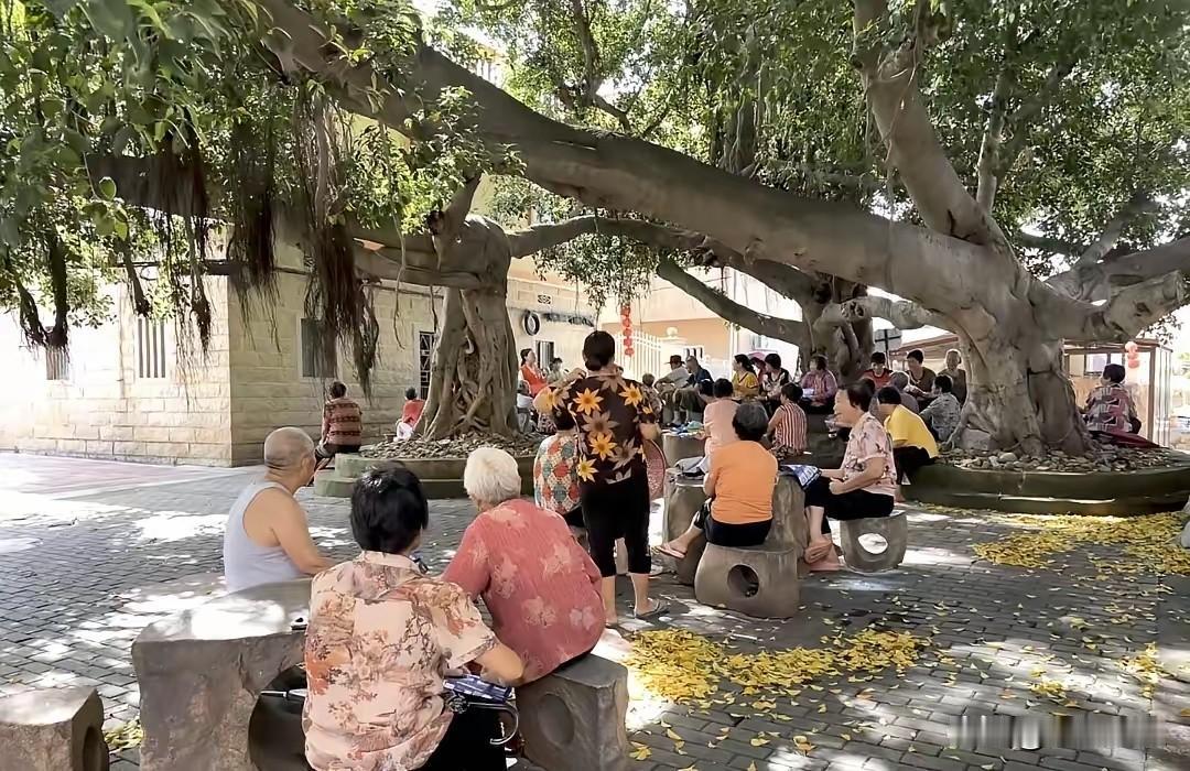 40℃高温下农村扎心真相：老人宁愿树下扇蒲扇，也不肯进屋开空调
 
发现没有？农