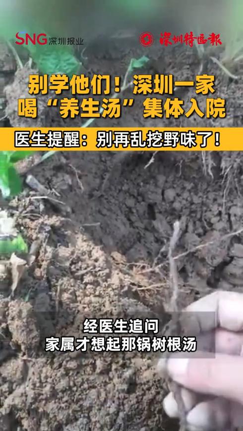 “悲剧还是发生了！”近日，广东，一男子听说山上的油甘树根能补气血，特意挖了一大捆