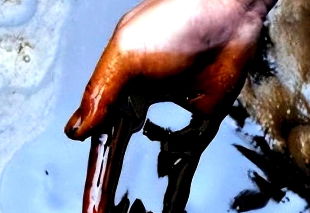 火葬场产生的“尸油”去了哪里？很多人不知道，尸体在燃烧的时候会产生“尸油”，但这