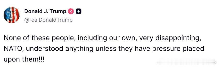 【黄金时代】川普抨击那些毫无用处的北约盟友“这些人，包括我们自己令人失望的北约盟