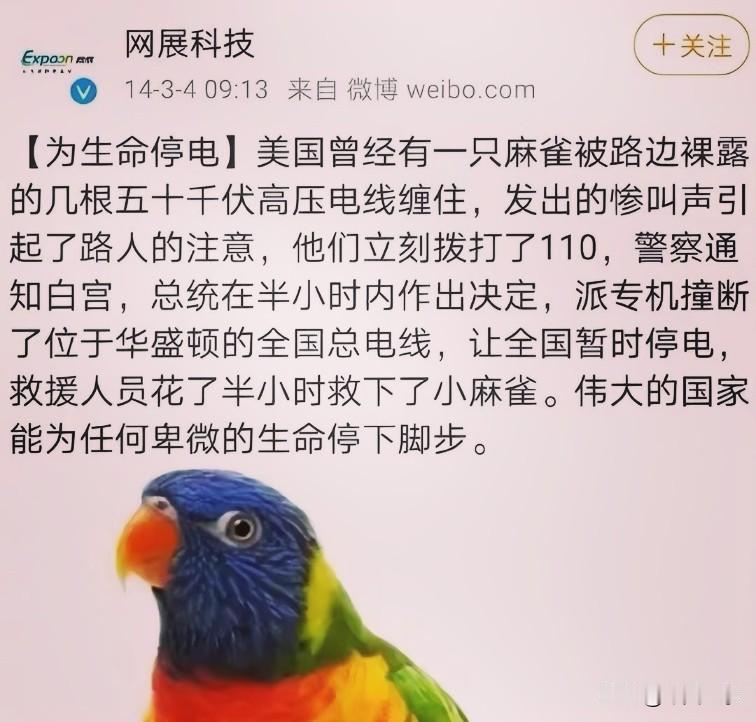 精美的鸡汤。
每一句都是假的。
您喝过吗？
[捂脸]