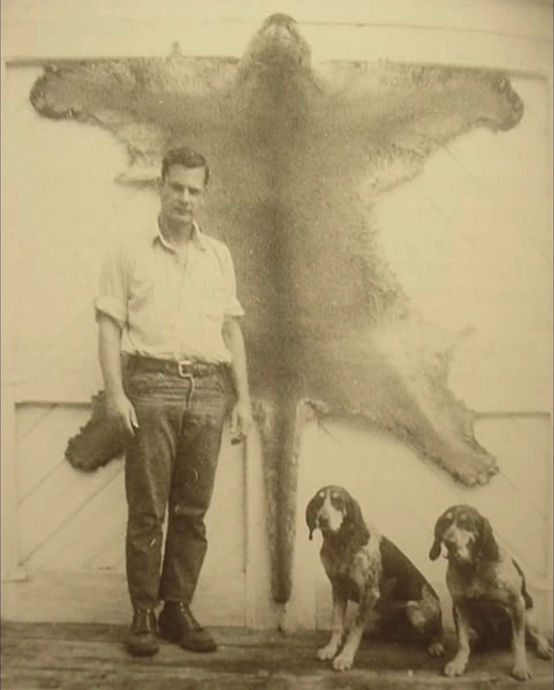 1963年 Cameron和他的蓝色猎犬。和现在蓝斑猎犬有区别吗！把你...