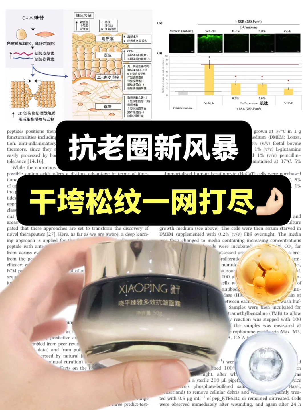 抗初老面霜的㊙️ 垮脸人的救命菩萨🆘