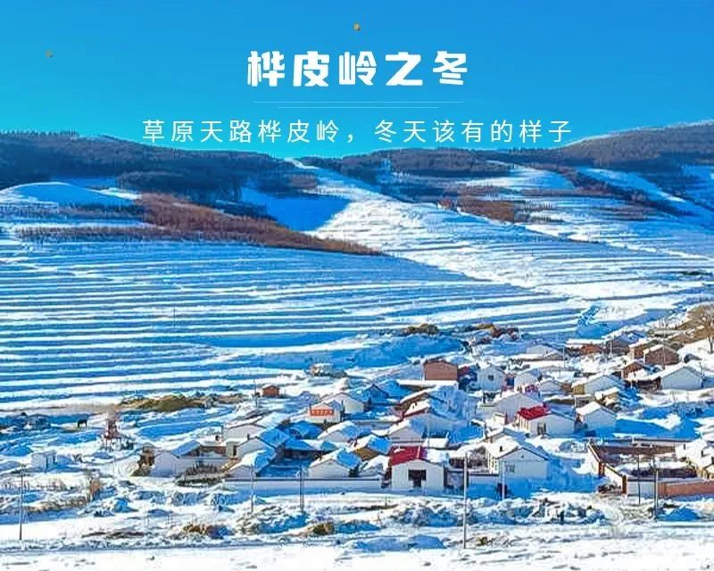 桦皮岭之冬！踏雪徒步！