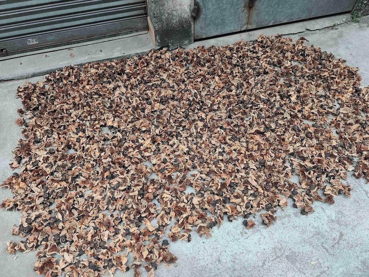 我的今日状态：😁轻松愉快
我这里的天气：☀️晴天
中午下班了，路过老医生后门院