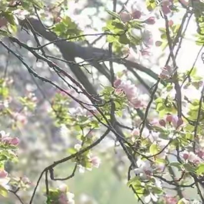 岁月如画，观四季流转，与春风共翩跹，与冬雪同静谧。看水流年，赏一份岁月安然，叹人