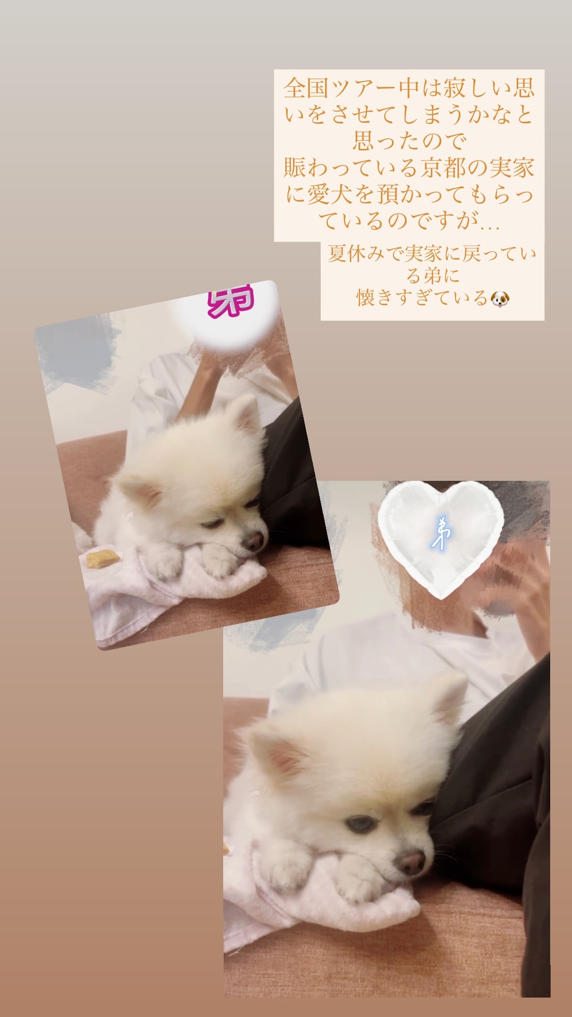 弓木奈於　ゆみきぐらむ ​​​