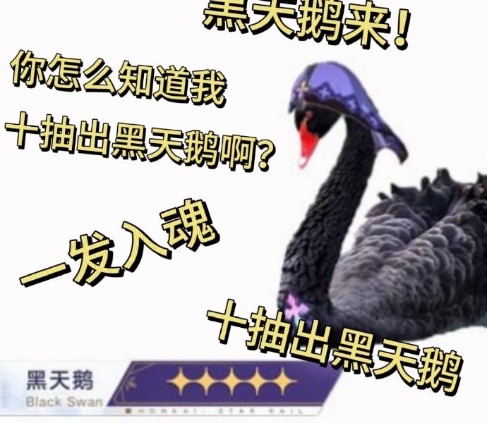 #星穹铁道2.0启动##崩坏星穹铁道#        黑天鹅来𓀁 𓀂 𓀄 
