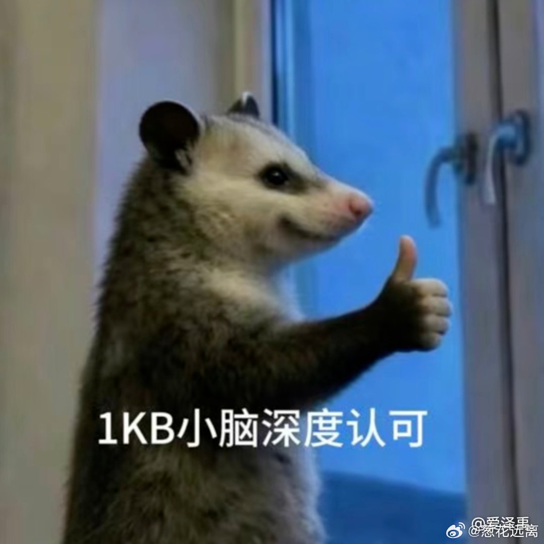 感觉饭好少，那群饭桶够吃吗？ 