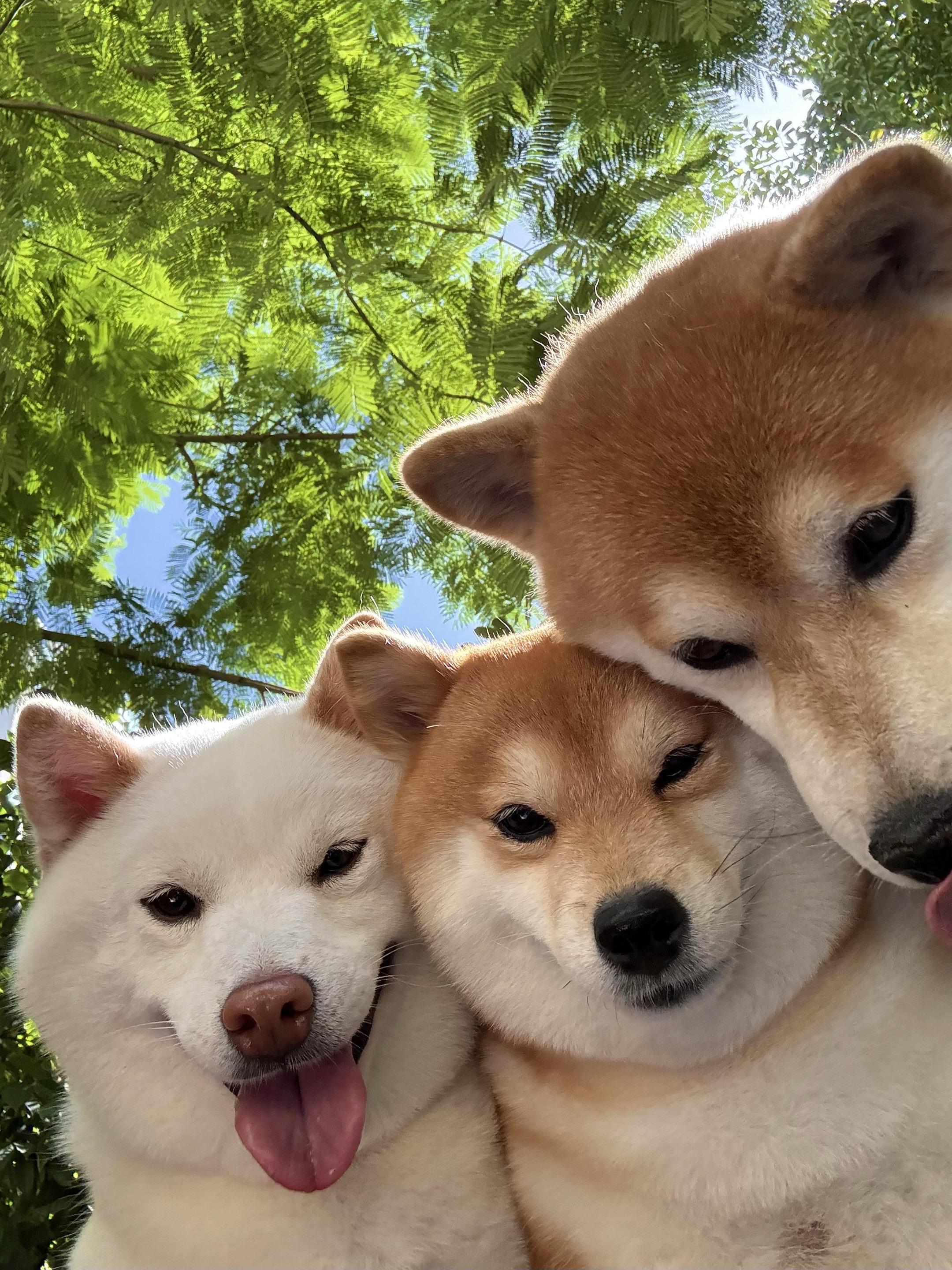 天冷了你要注意保暖呀。好了过来抱抱