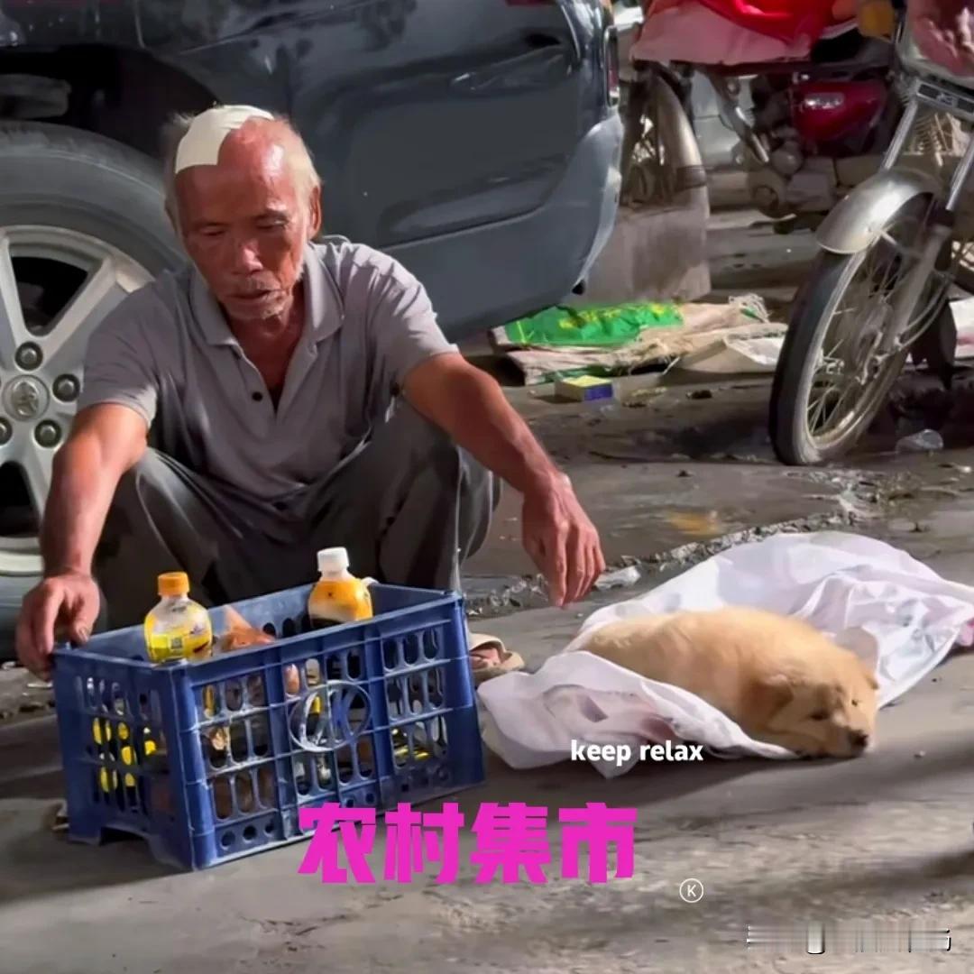 一位农村的大爷，最近头疼的厉害，不得已只好把家里的小猫和小狗，拿到集市上换一点钱
