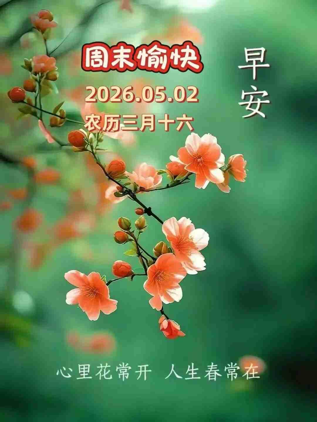 我的今日状态：😁轻松愉快
我这里的天气：☀️晴天