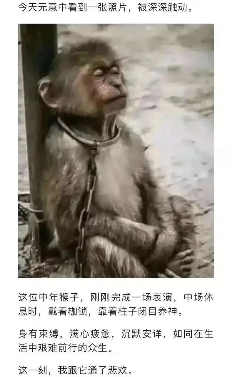 早上好！我们不知道将要发生什么，但是我们应该知道自己身在何处。