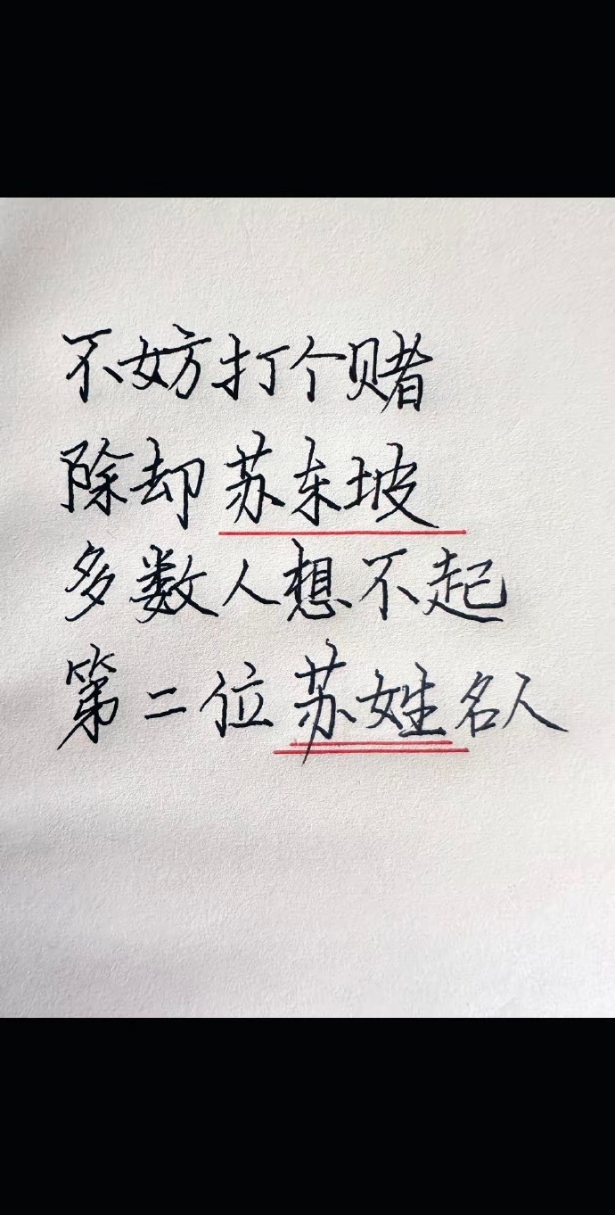 不妨打个赌，除却苏东坡，多数人想不起第二位苏姓名人。 ​​​
