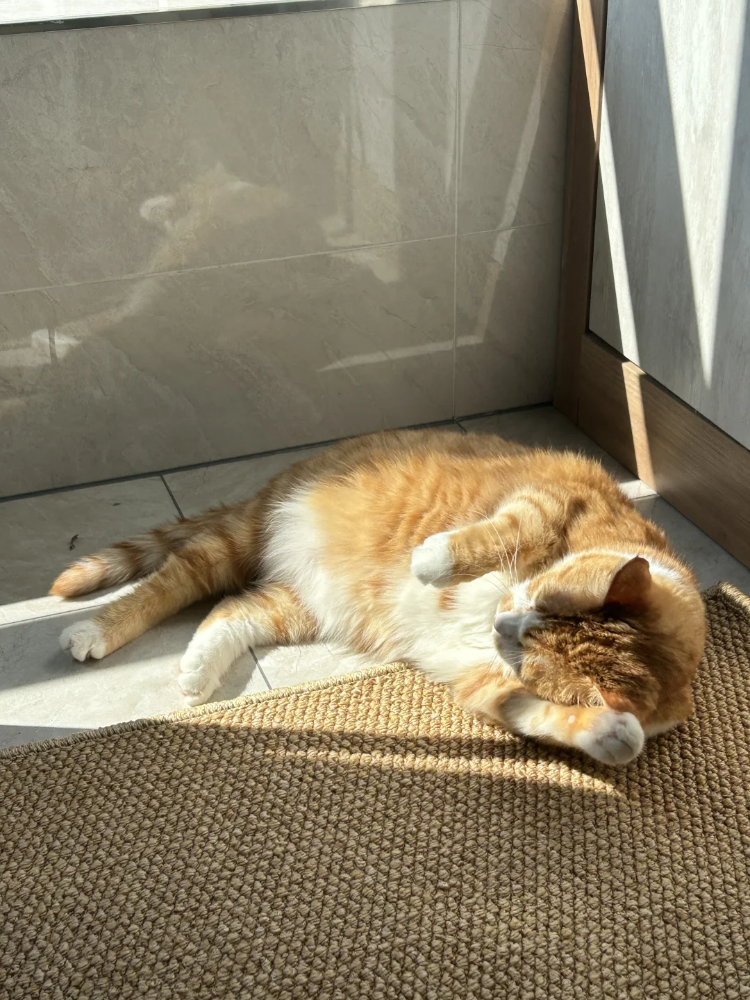 邀请一个姨姨来重庆晒太阳，一点都不热🤓