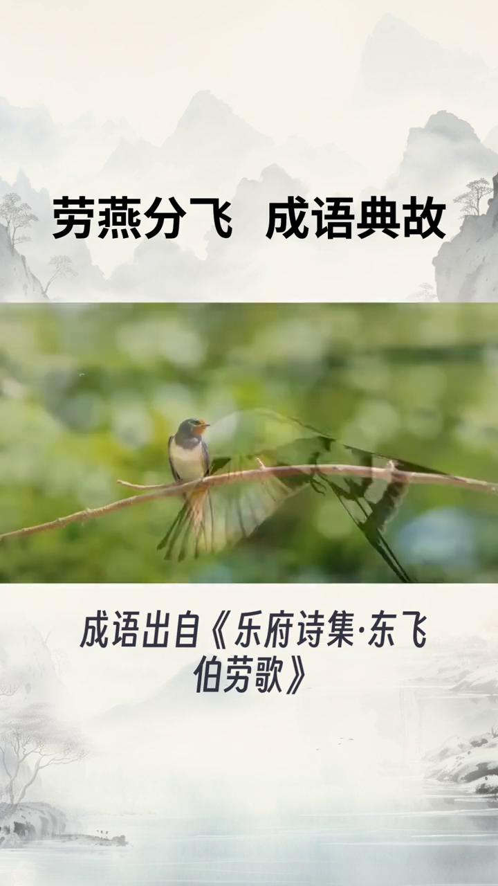 劳燕分飞成语典故。
劳燕分飞并非有传统意义上完整的"故事"，而是源于古代诗歌中对