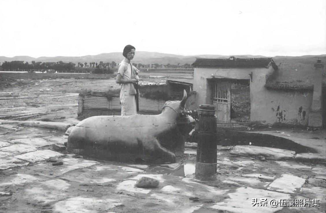 1934年9月，林徽因在山西霍州北门凤栖桥铁牛旁的老照片，有人知道这个铁牛还在不