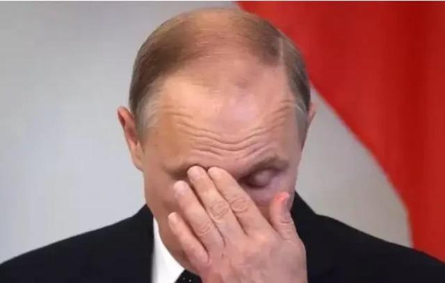 很多人以为，中国一旦开战就会陷入 “群狼围攻”。错了！真相是，只要那根牵绳子的美