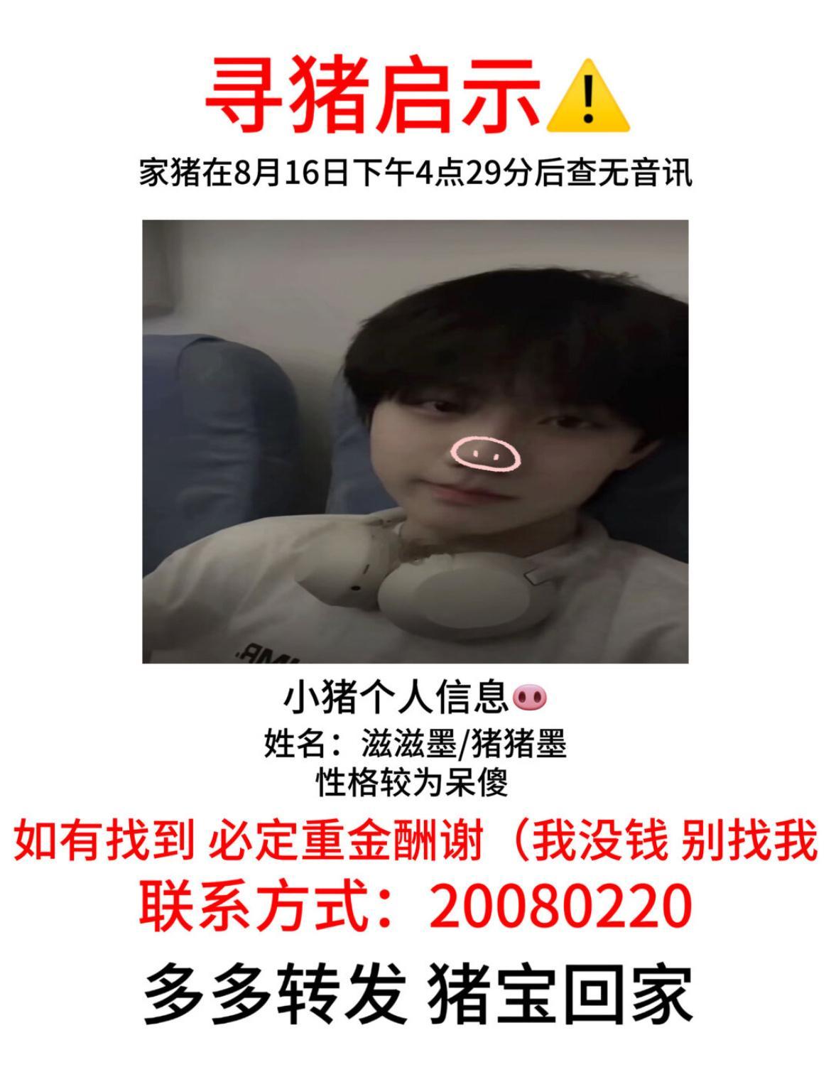 分享图片 