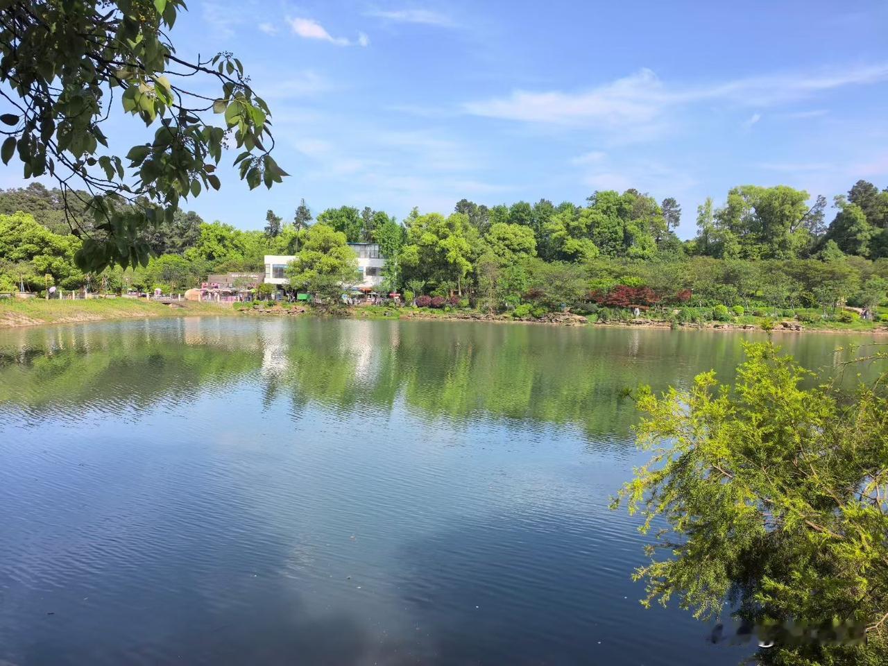 从结果来看，客户用户最先感受的是销售，其次产品的功能、质量、服务，最后才是标准、