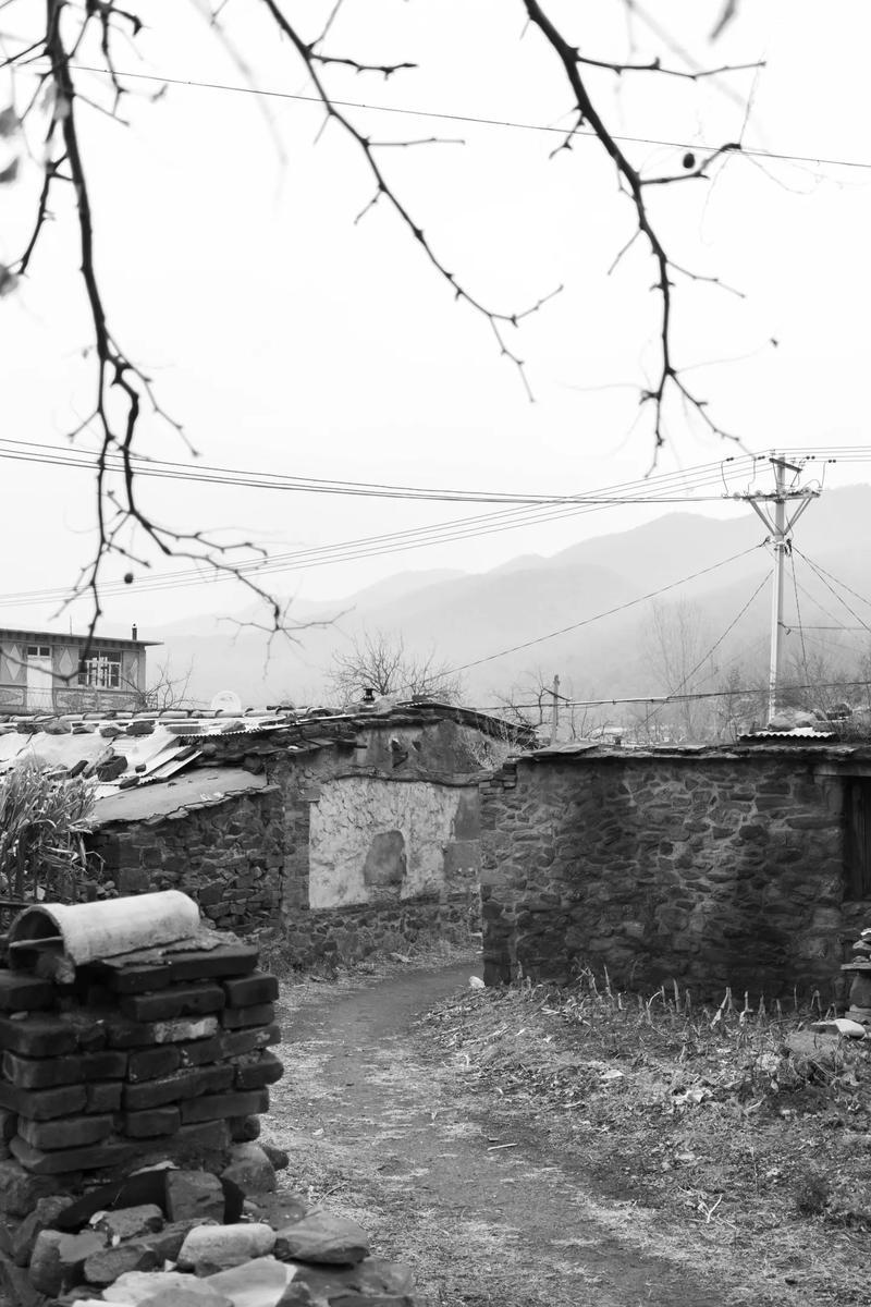 1999年，湖南一男子丧偶后，与邻村一离婚女子结婚，一家人靠男子种地为生。某天男