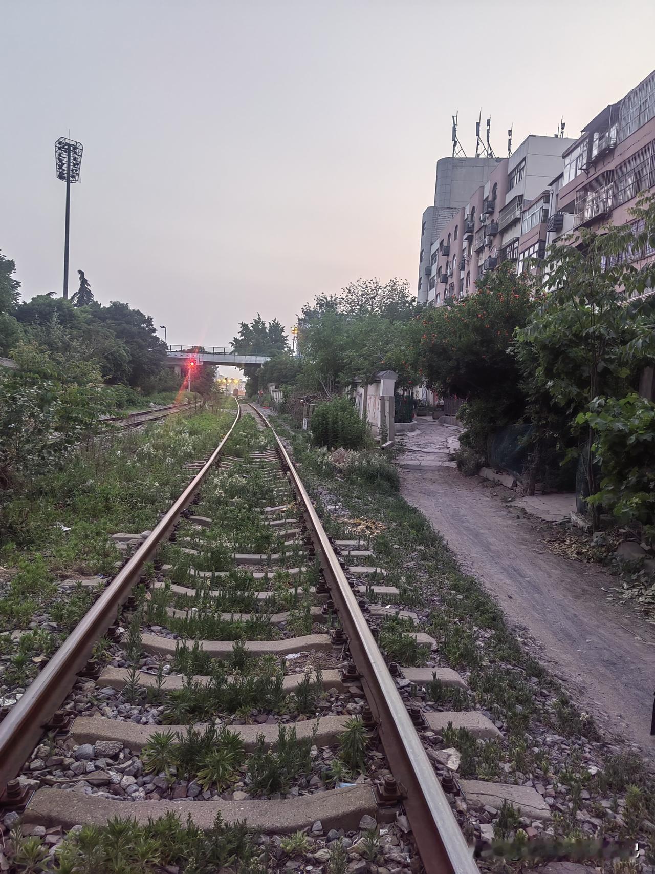 中年人摆脱内耗有效的方法，下班后去学习一项技能
这个技能可能是打乒乓球，也可能是