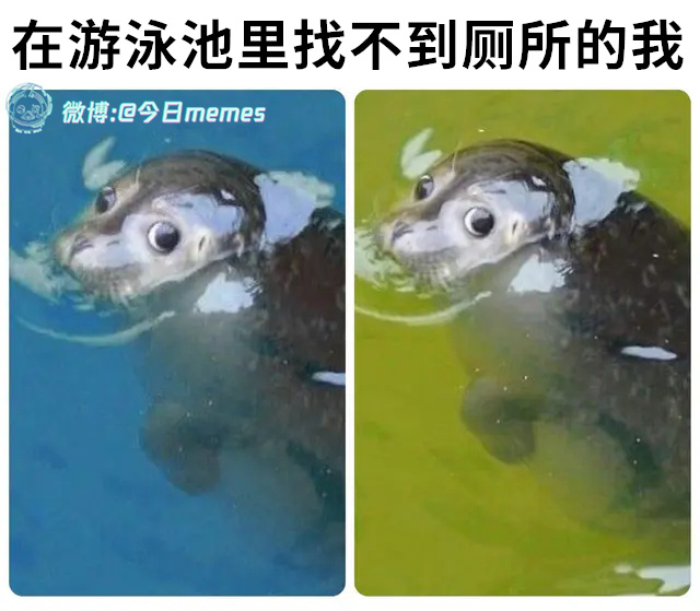 所谓滤镜（9gag）今日meme[超话]今日memes ​​​