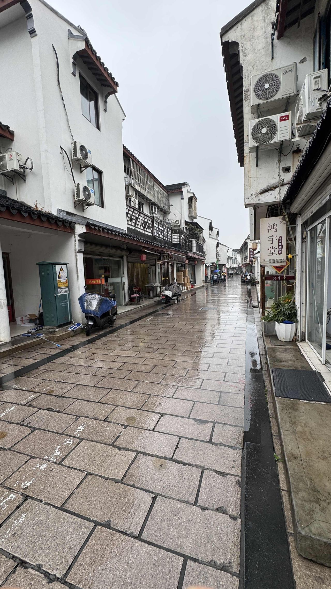 雨落苏州，
花岗岩石板被洗得发亮。
黛瓦凝露，白墙含烟，
整条小街都静了下来。