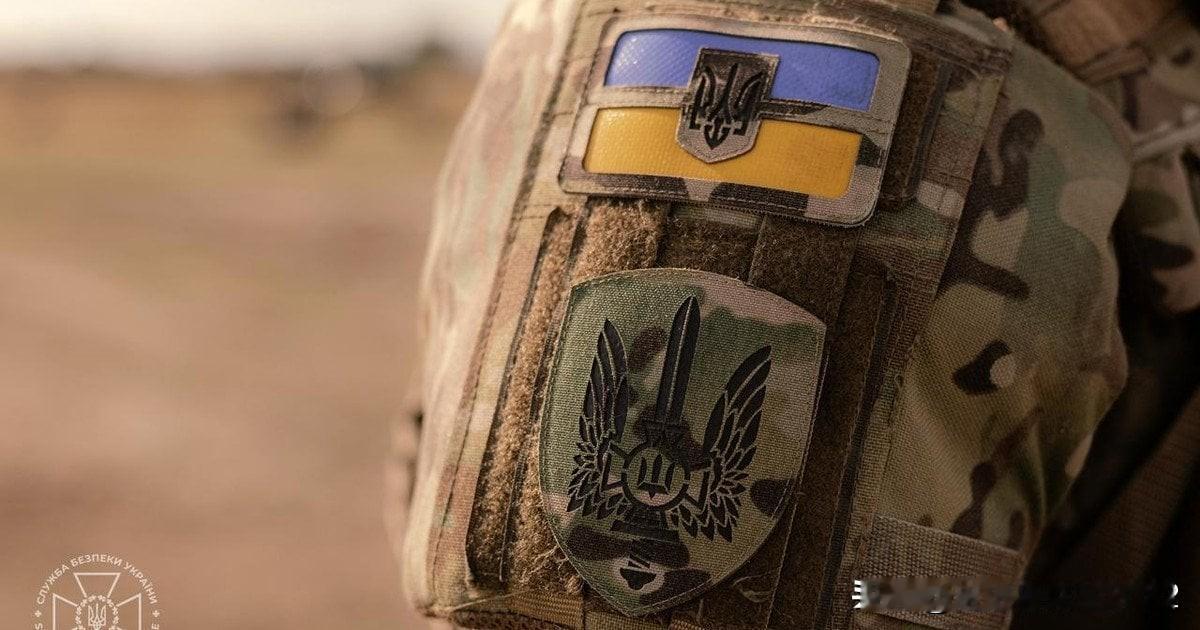 在没有美国情报的情况下，乌克兰能否作战


乌克兰已经在很大程度上，在没有美国情