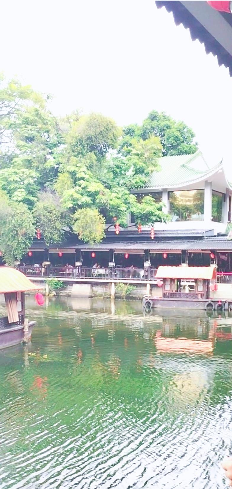 你认为抖音上的美女占几成？
抖音上自然美女占比真不好说。现在刷抖音，满屏都是美女