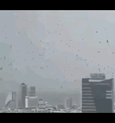 特拉维夫漫天乌鸦遮天蔽日，不少人直呼末日预兆，背后哪有什么玄学，全是生存本能与时