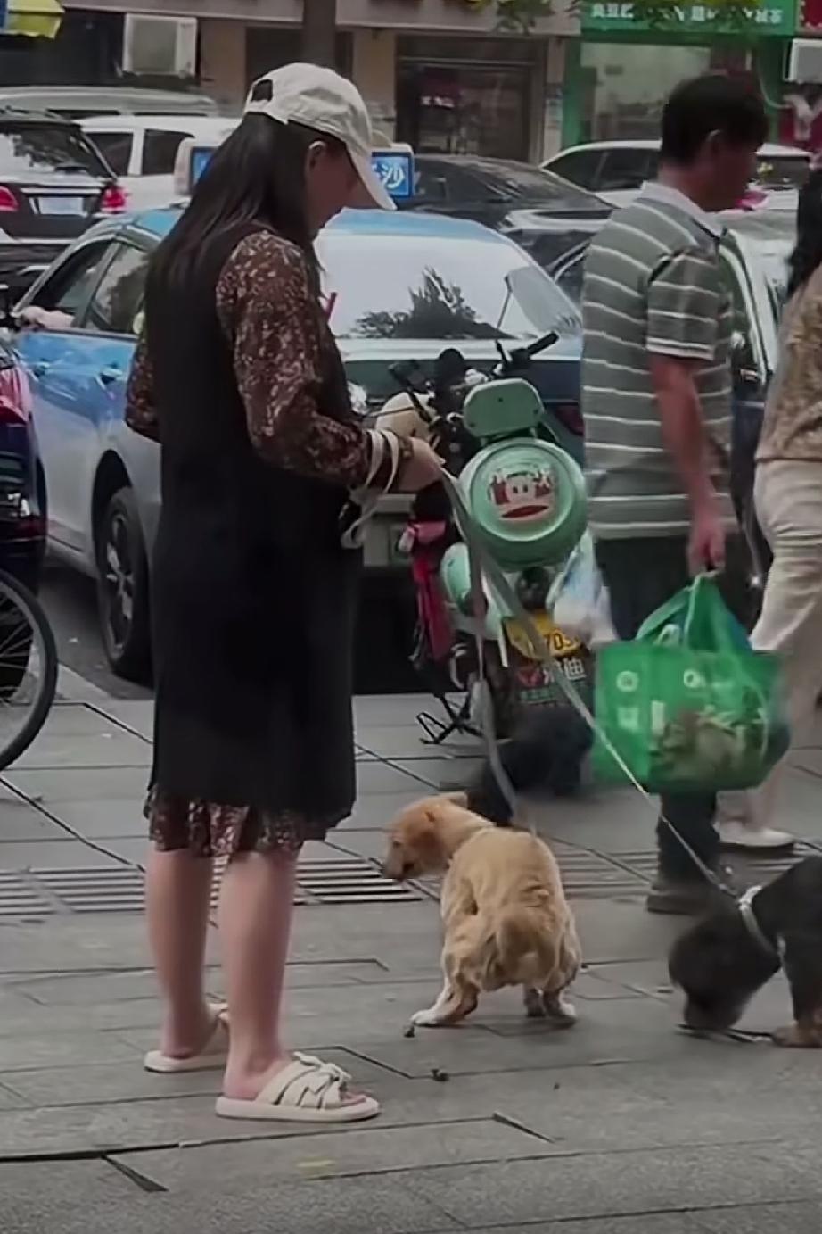 所谓的遛狗就是让自家的狗到公共场合随地大小便，不能说所有的狗主人都是这样的心态，