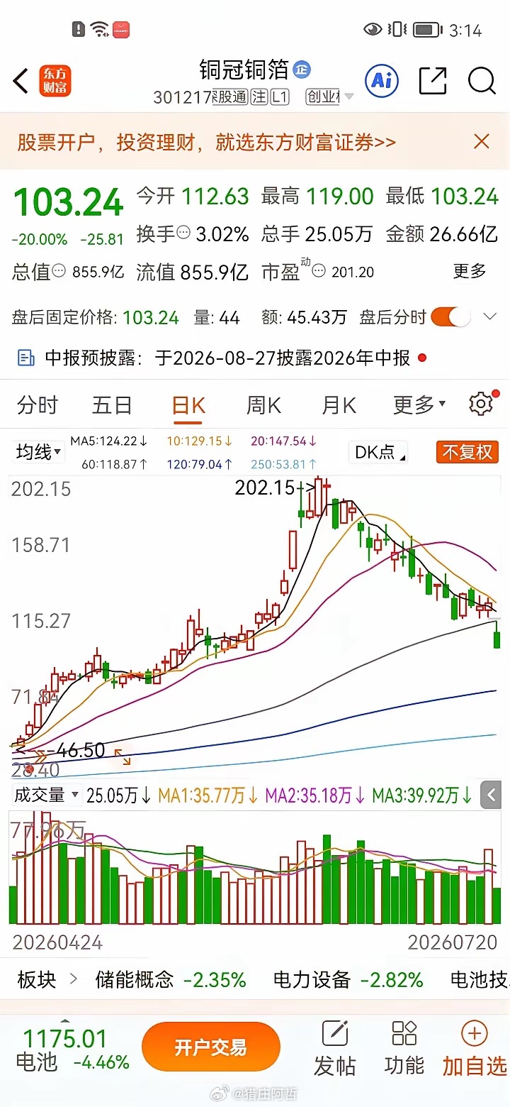 一位股友在7月初，200元价位买入铜冠铜箔3000股。铜冠铜箔作为高端电子铜箔细